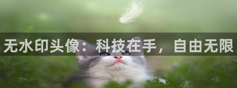 急速体育nba直播在线观看：无水印头像：科技在手，自由无限