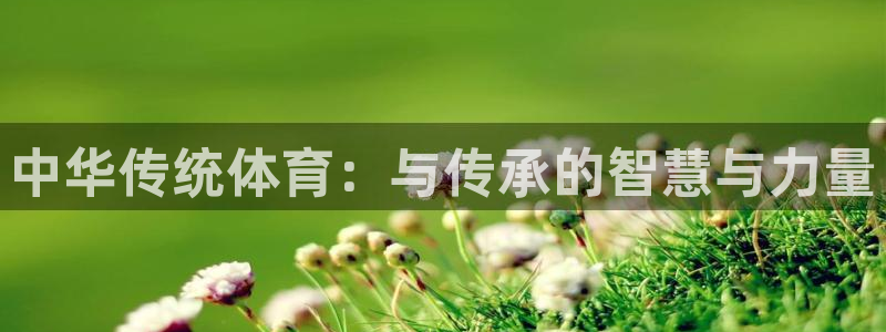 急速体育cba：中华传统体育：与传承的智慧与力量